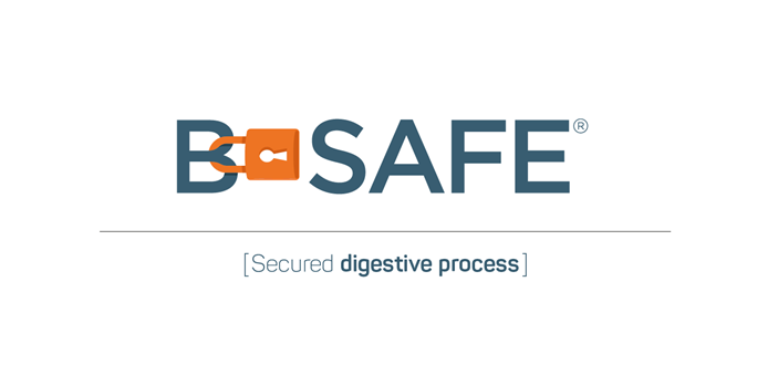 B-SAFE